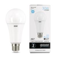 Лампа Gauss Elementary LED A67 30W E27 6500K (73239)